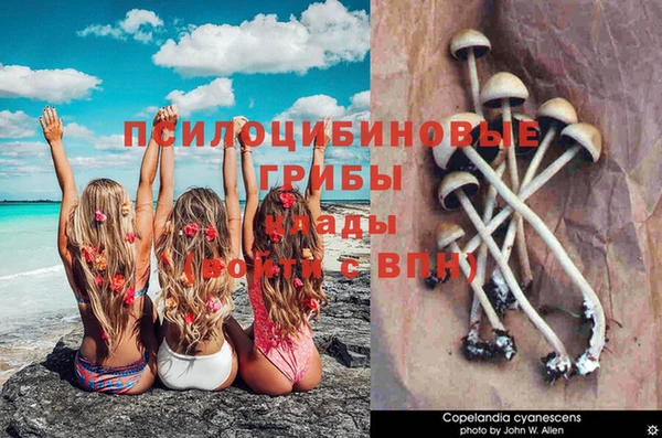 mdpv Абинск