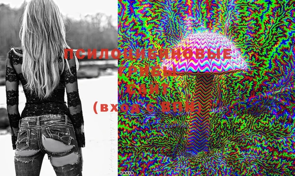 марки lsd Абаза