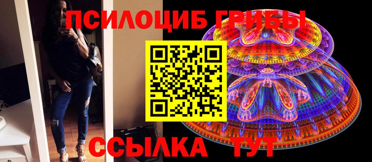 Галлюциногенные грибы Cubensis  Вход с VPN  Благовещенск  Галлюциногенные грибы мухоморы 