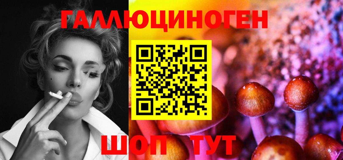 Псилоцибиновые грибы мухоморы Благовещенск